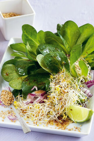 Feldsalat mit Sprossen Feldsalat mit Sprossen