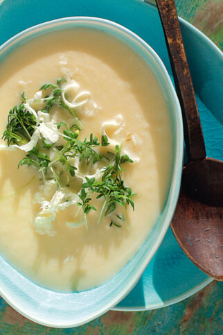 Steckrübensuppe Steckrübensuppe