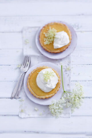 Holundertörtchen Holundertörtchen