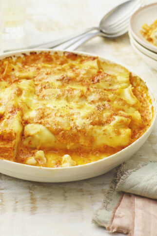 Blumenkohl-Salsiccia-Cannelloni Blumenkohl-Salsiccia-Cannelloni