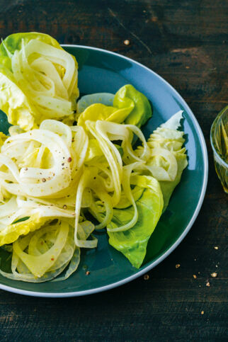 Fenchel-Blatt-Salat Fenchel-Blatt-Salat
