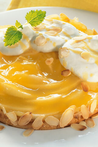 Apfel-Biskuit-Kuchen Apfel-Biskuit-Kuchen