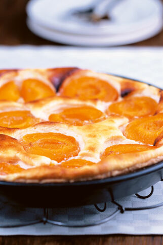 Aprikosen-Käsekuchen Aprikosen-Käsekuchen