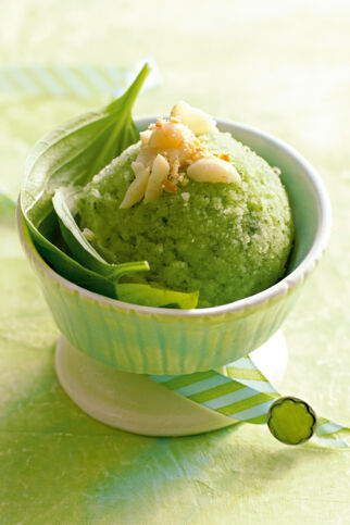 Basilikumsorbet mit gerösteten Macadamianüssen Basilikumsorbet mit gerösteten Macadamianüssen