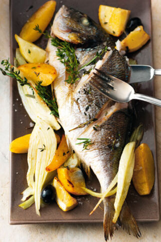 Dorade auf Kartoffel-Fenchel-Bett Dorade auf Kartoffel-Fenchel-Bett