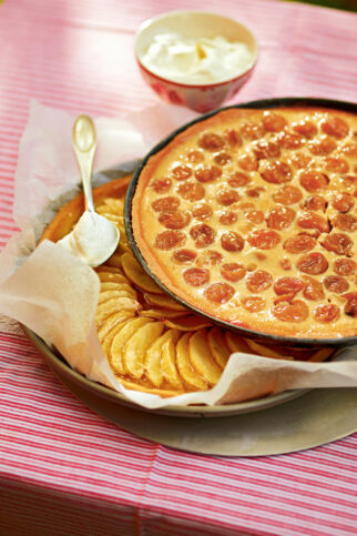 Elsässer Mirabellentarte Elsässer Mirabellentarte