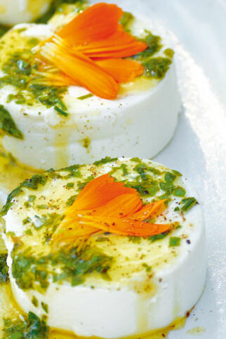 Junger Ziegenkäse mit Kräutern Junger Ziegenkäse mit Kräutern