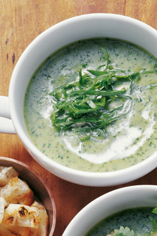 Sauerampfersuppe Sauerampfersuppe