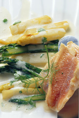Lauwarmer Saibling auf Spargelgemüse Lauwarmer Saibling auf Spargelgemüse