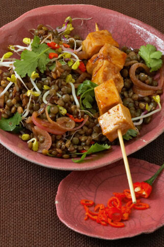 Asia-Linsensalat mit Tofuspieß Asia-Linsensalat mit Tofuspieß