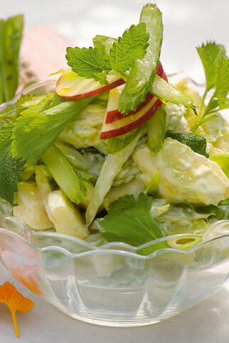 Sellerie-Apfel-Salat Sellerie-Apfel-Salat