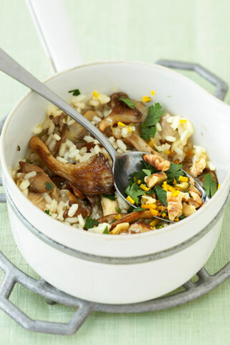 Herbstrisotto mit Austernpilzen Herbstrisotto mit Austernpilzen