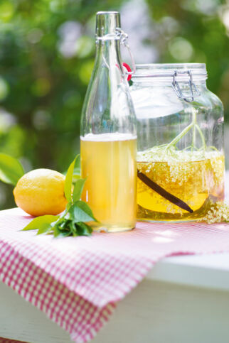 Holunderblütensirup in der Flasche und im Glas mit Holunderblütendolde - Holunderblütensirup Rezept mit Zitrone und Minze Holunderblütensirup