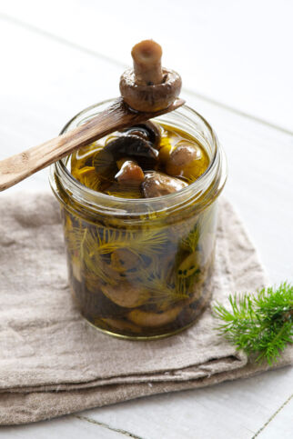 Pilze in Olivenöl mit Tannenspitzen Pilze in Olivenöl mit Tannenspitzen