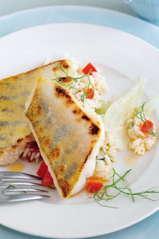 Zanderfilet auf Fenchel-Tomaten-Reis Zanderfilet auf Fenchel-Tomaten-Reis