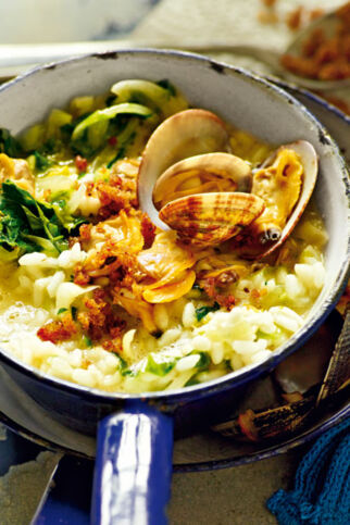 Endivienrisotto mit Venusmuscheln Endivienrisotto mit Venusmuscheln