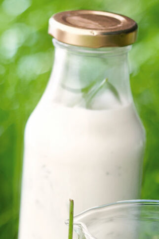 Joghurt-Zitronen-Dressing Joghurt-Zitronen-Dressing