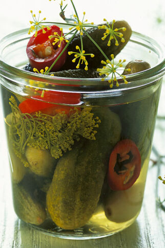 Essiggurken mit Meerrettich Essiggurken mit Meerrettich