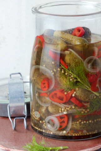 Scharf-saure Gurken mit Peperoni und Zwiebeln Scharf-saure Gurken mit Peperoni und Zwiebeln