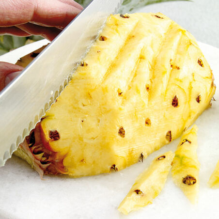 Indisches Fondue Indisches Fondue