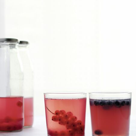 Wasserkefir Wasserkefir