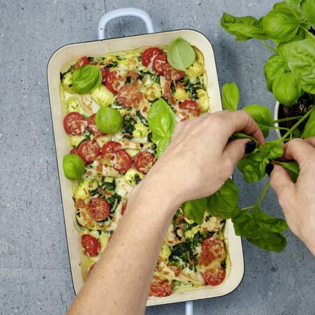 Hähnchen-Gnocchi-Gratinmit Spinat Hähnchen-Gnocchi-Gratinmit Spinat