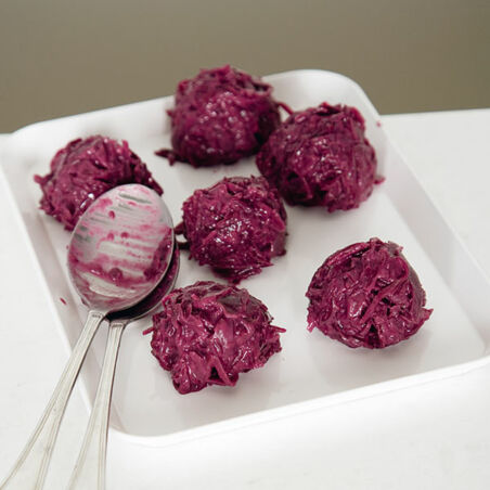 Rotkohlknödel mit Enten-Pilz-Geschnetzeltem Rotkohlknödel mit Enten-Pilz-Geschnetzeltem