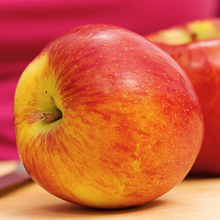 Apfelpizza mit Ziegenkäse Apfelpizza mit Ziegenkäse