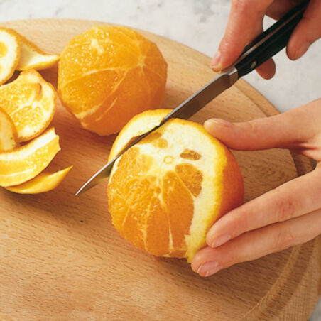 Entenbrust mit Orangenfilets Entenbrust mit Orangenfilets