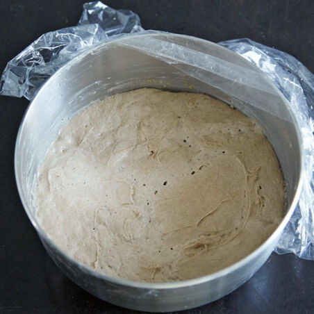 Grundrezept Anstellgut und Sauerteig Grundrezept Anstellgut und Sauerteig