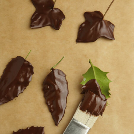 Schokoladenblätter Schokoladenblätter