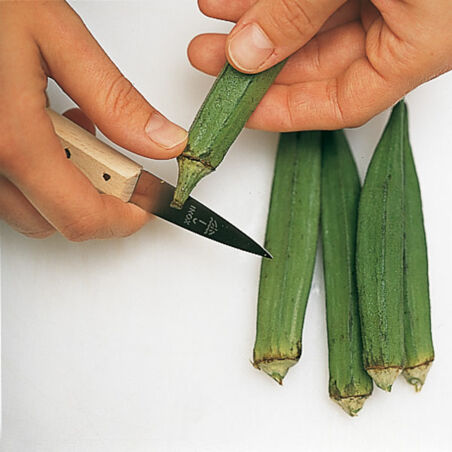 Huhn mit Okraschoten Huhn mit Okraschoten