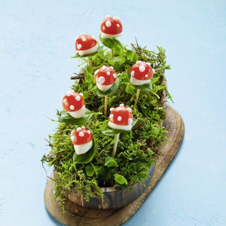 Mini-Fliegenpilze Mini-Fliegenpilze