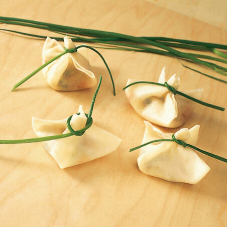 Frittierte Wan Tan Frittierte Wan Tan