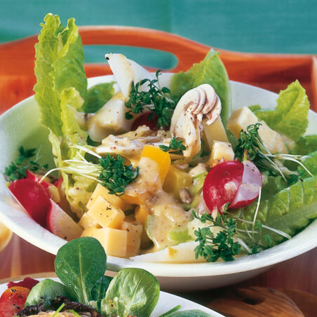 Bunter Romanasalat Bunter Romanasalat