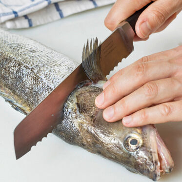 Gebackene Zanderfilets Gebackene Zanderfilets