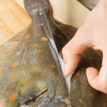 Pochierte Schollenfilets Pochierte Schollenfilets