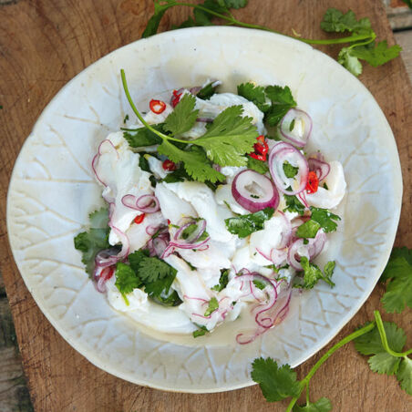 Ceviche – das Original Ceviche – das Original