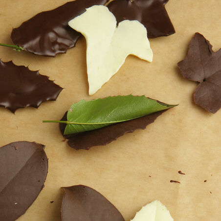 Schokoladenblätter Schokoladenblätter