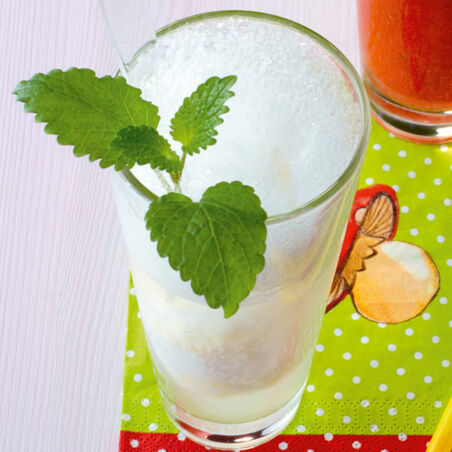 Zitronensorbet Zitronensorbet