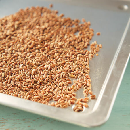 Dinkelmalz-Elixier nach Hildegard von Bingen Dinkelmalz-Elixier nach Hildegard von Bingen