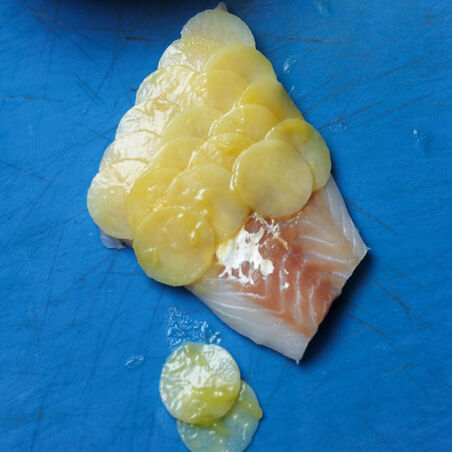 Zander mit Kartoffelschuppen auf Riesling-Sauerkraut Zander mit Kartoffelschuppen auf Riesling-Sauerkraut