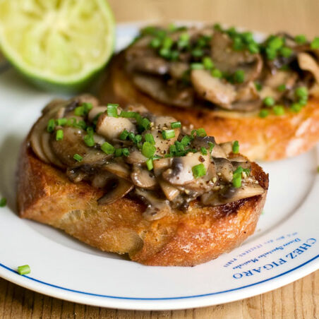 Champignon-Crostini Champignon-Crostini