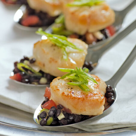 Jakobsmuscheln auf Kaviarlinsen Jakobsmuscheln auf Kaviarlinsen