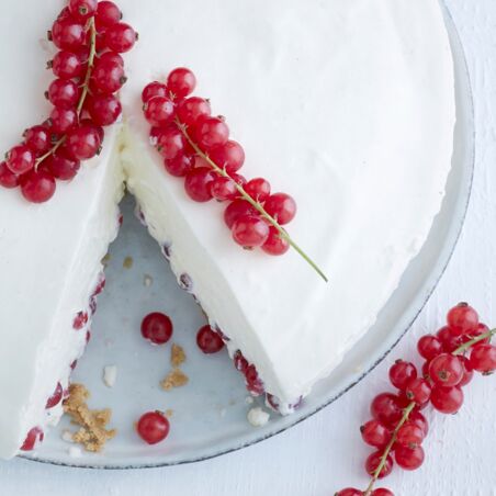 Panna-Cotta-Torte Panna-Cotta-Torte