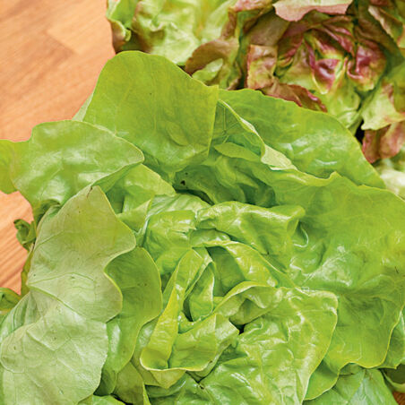 Hackpizza mit Schafskäse Hackpizza mit Schafskäse