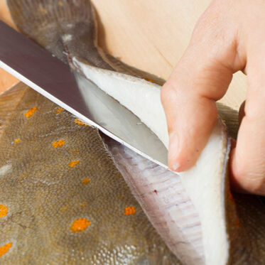 Pochierte Schollenfilets Pochierte Schollenfilets