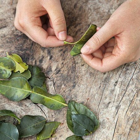 Hähnchen-Reisnudel-Salat Hähnchen-Reisnudel-Salat