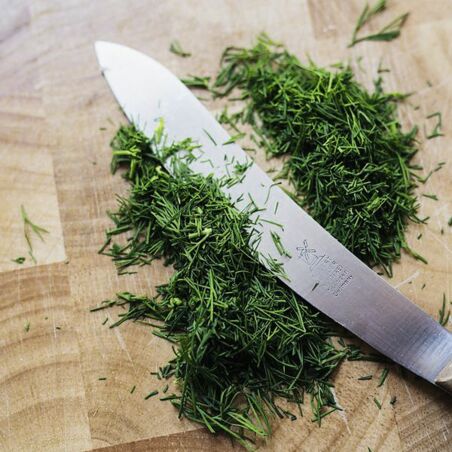 Zarte Hechtklößchen in Dillsauce Zarte Hechtklößchen in Dillsauce