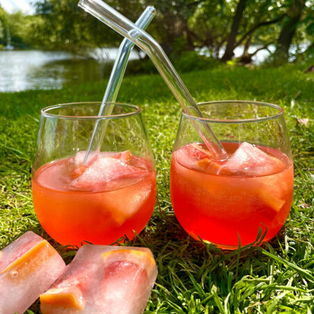 Aperol-Tonic Aperol-Tonic